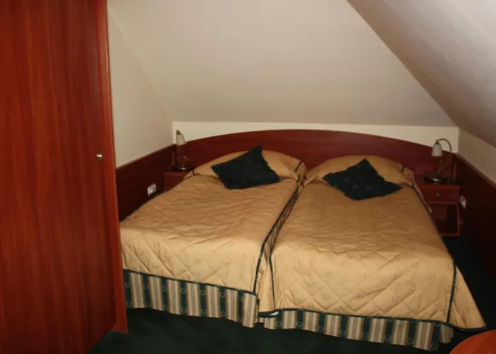 Saol קריניצה זדרוי